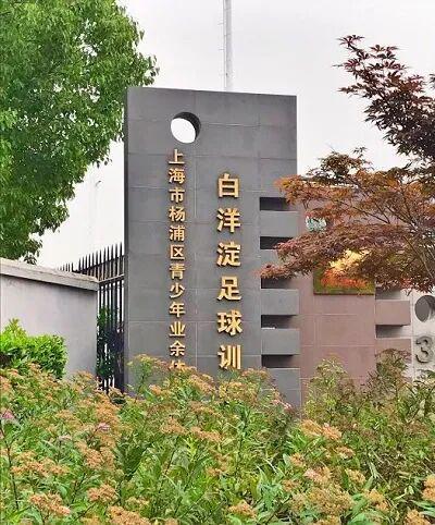 kaiyun体育官网-喜报！杨浦足球青训基地获评市级“优秀”